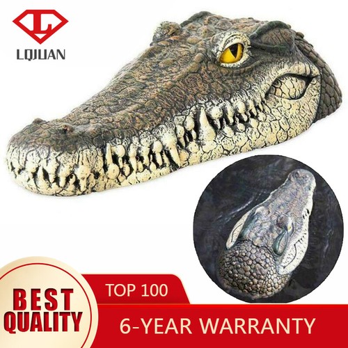 Floating crocodile head - crocodile,