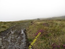 Photo 6x4 Quad bike tracks on