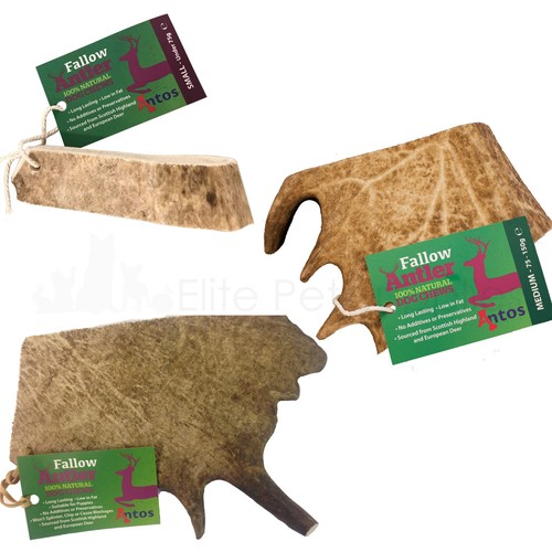 Antos fallow deer antler - fallow,