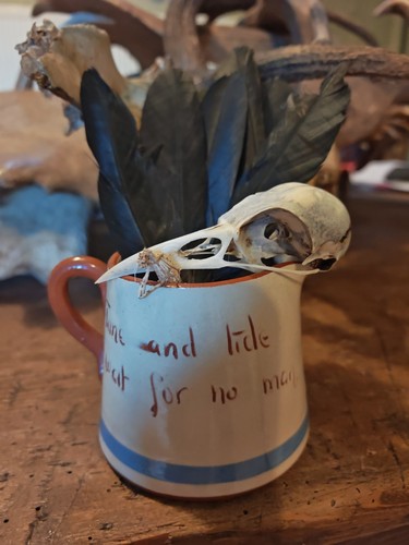 Aller vale pottery crow skull - crow,