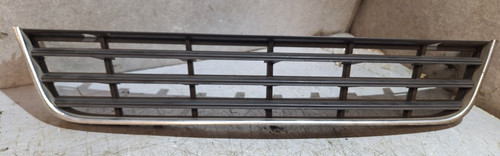 Passat front grill - front,