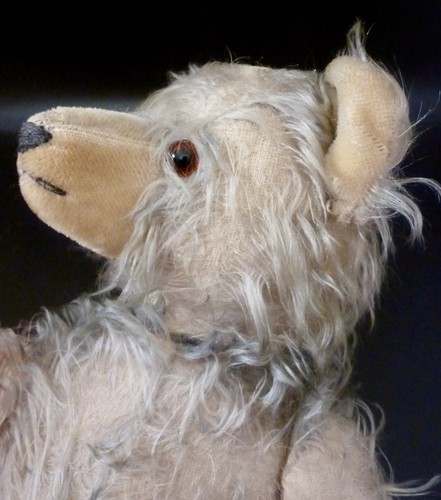 Antique teddy bear shaggy - antique,