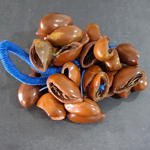 African seed rattle shaker - african,