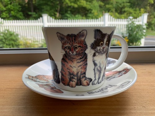 Roy kirkham cats home - roy,
