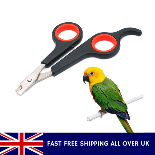 Pet nail clippers trimmer - nail,