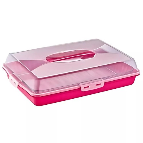 Plastic cake brownie tray - cake,