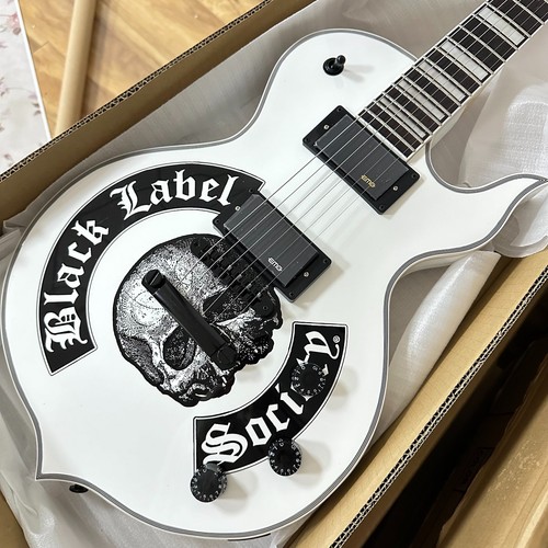 Gloss white zakk wylde - zakk,