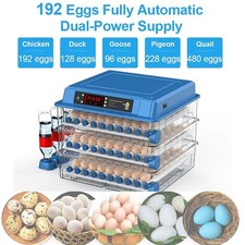 192 Egg Fully Automatic