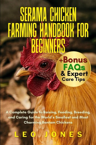 Serama chicken farming - chicken,