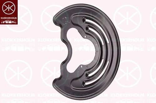 Rear right brake disc - right, dust