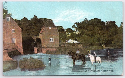 Cobham surrey postcard - cobham,