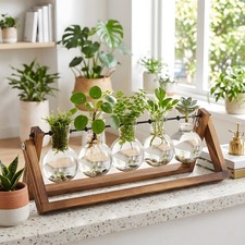 Bulb glass hydroponic - bulb,