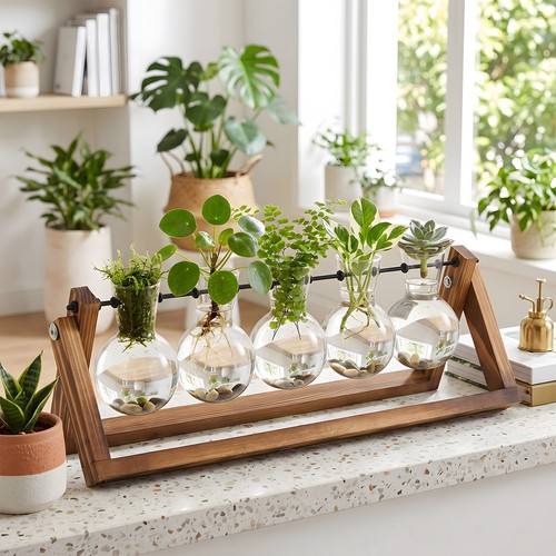 Bulb glass hydroponic vase - hydroponic,