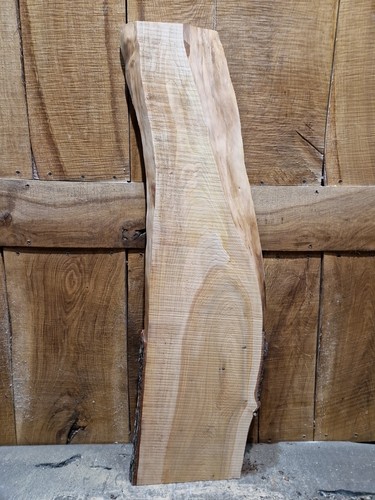 Cedar slab wood - slab, live