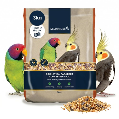 Marriages parakeet cockatiel - marriages,