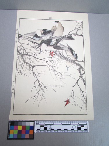 Woodblock print - woodblock,