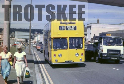 35mm slide badgerline - slide,