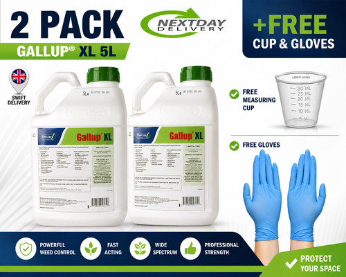 Gallup xl professional - x,