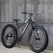 26 Inch Wheel Mountain Bike