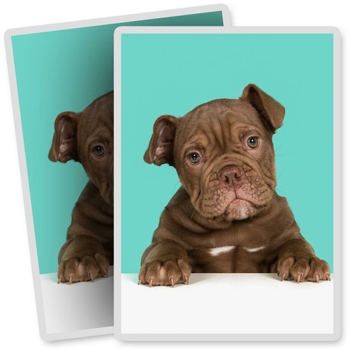 Vinyl stickers 7x10cm - 2, x