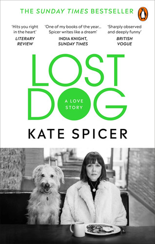 Lost dog love story - lost, kate