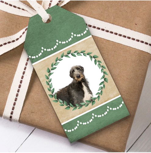 Scottish deerhound dog green - scottish,