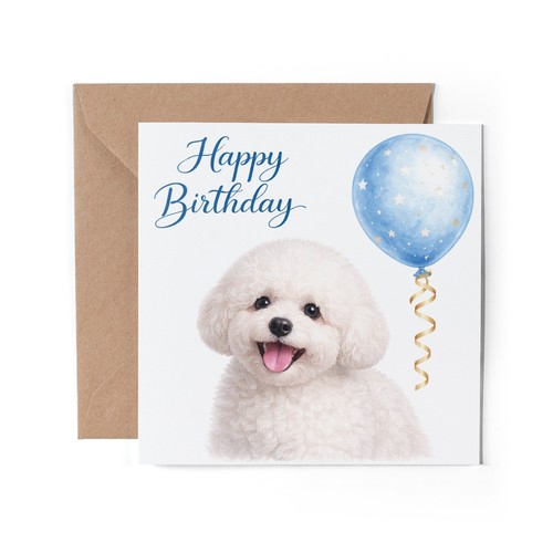 Bichon frise dog - 1,
