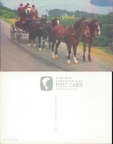 Horse drawn carriage salmon - drawn,
