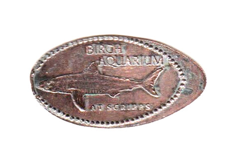 Elongated penny birch - penny, "birch