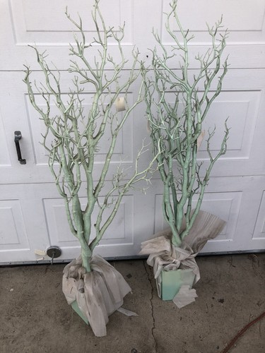 Manzanita tree centerpiece - manzanita,