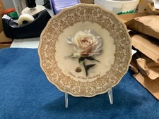 Princess diana rose - diana,,