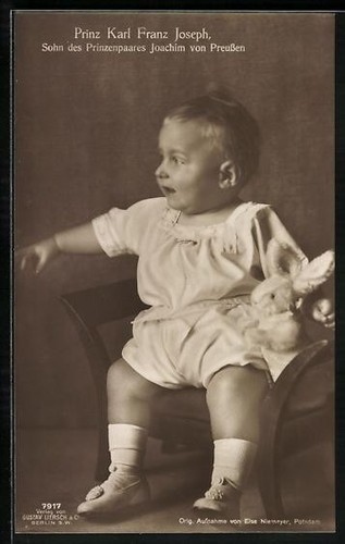 Prince karl franz joseph - prince, joseph,