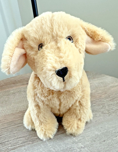 Chelsea teddy bear plush dog - teddy,