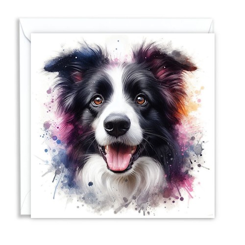 Border collie dog watercolour - border,