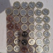 King Charles lll £1 Coin Bumble Bee circulated. Bag of £40 Coins