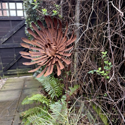 Large rusty metal dahlia - rusty,