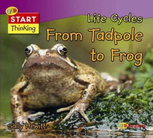 Life cycles from tadpole - life,