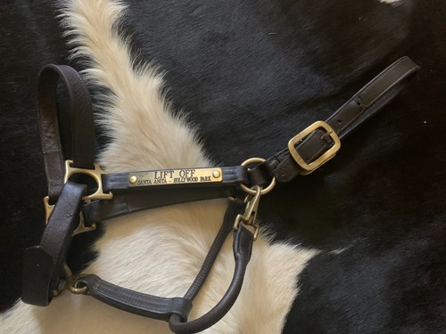 Walsh leather halter racing - walsh,