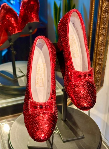 Primary ruby slippers - slippers,