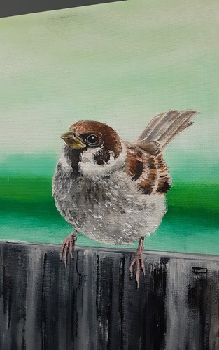 Painting original oil sparrow - painting,