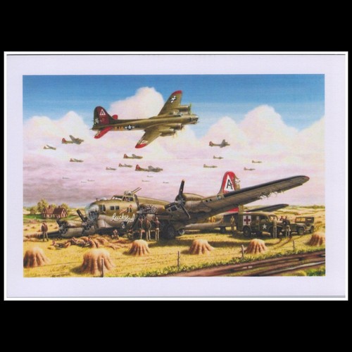 Wwii downed bomber lucky - wwii, b-17