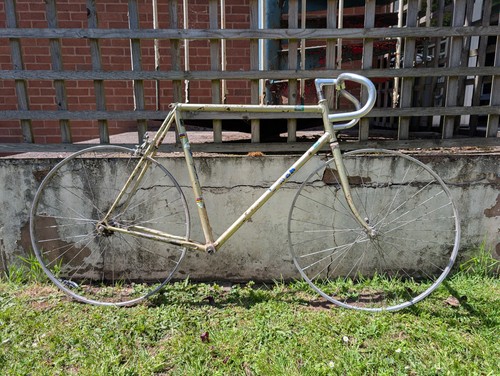 Viner special corsa frameset - viner,