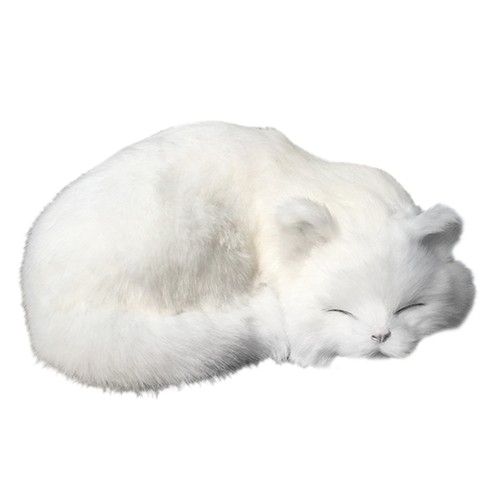 Realistic white cat animal - white,
