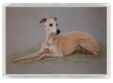 WHIPPET BEAUTIFUL DOG ART