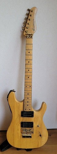 Edwards floyd rose esp - rose,