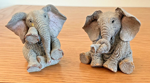Tuskers vintage daisy - daisy, and