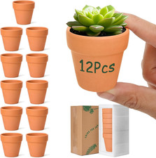 T4U 6.5CM Terracotta Plant