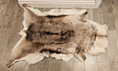 Genuine scandinavian reindeer - scandinavian,