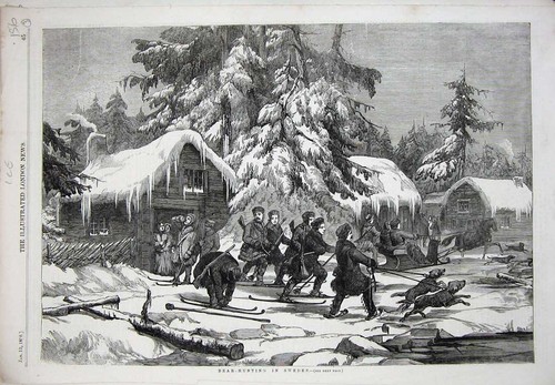 Old antique print bear - antique,