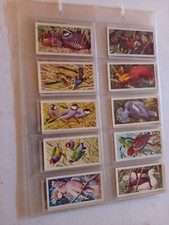 Brooke Bond  Tropical Birds